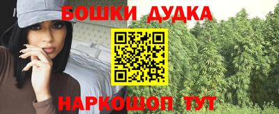 стаф Будённовск